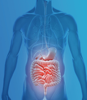 AMELIE präsentiert sich auf dem Big Bowel Event 2024