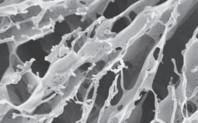 Regenerative treatment may offer a cure for incontinence patients